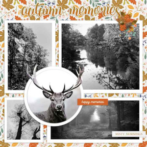 November Inspiration Challenge