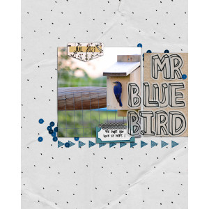 Mr. Bluebird