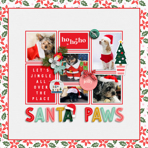 FF_nov25_MPM_Soco_Santa Paws