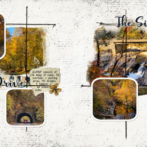 GSMNP