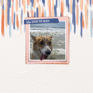 Lola Loved the Beach HHI 22