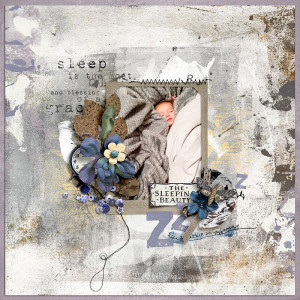 Sleeping-Beauty