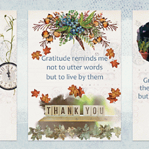Gratitude Cards, AJ Muse-Nov