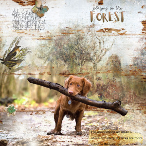 Playing in the Forest