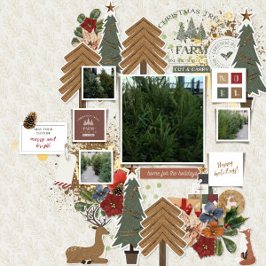Around The Tree