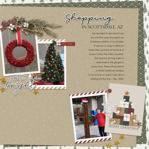 Shopping-Scottsdale