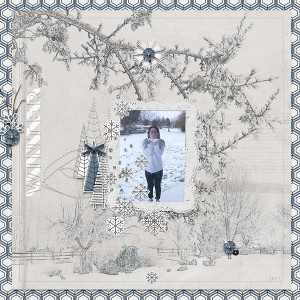 Winter-snow