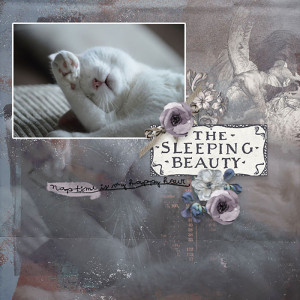 Sleeping-Beauty