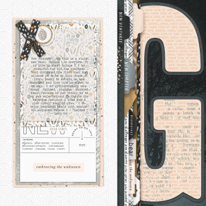 NewChapter,No,NewBook
