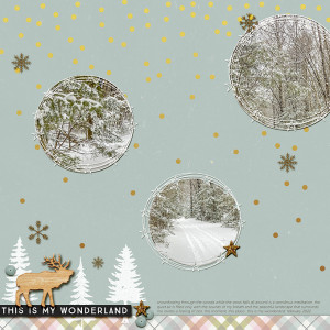 my wonderland | for dec byoc celebration
