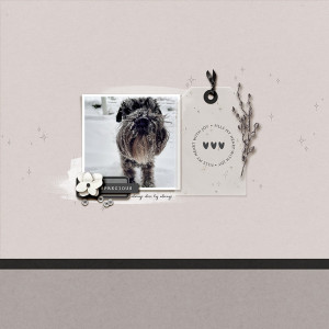 precious | for dec byoc celebration