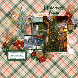 20141203 Wilderness Lodge
