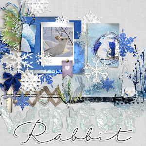 FF_dec2_NBK_AD_Winter Rabbit