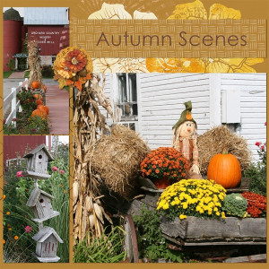 Autumn Scenes