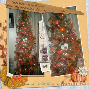 2211_linda_fall_tree