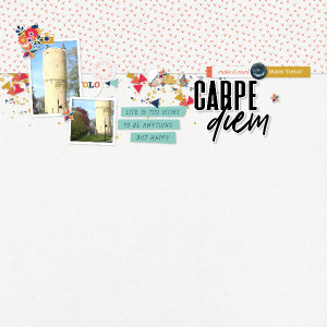 Carpe diem