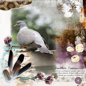 Feather Treasures