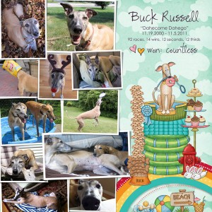 Buck Russell - Rainbow Bridge