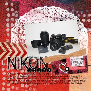 Nikon D3100