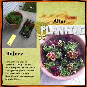 Planting