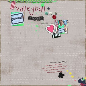 Volleyball