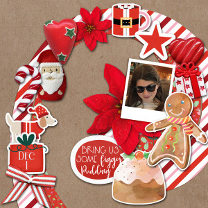 Inspiration_figgypudding
