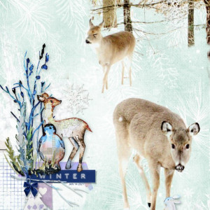 NBK-Design_2022-12_December_New_1202_Winter-Memories_web