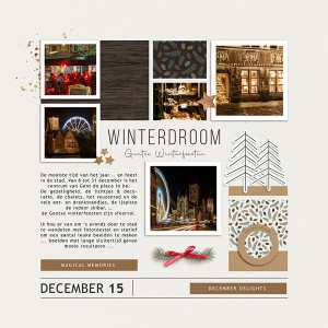 Winterdroom