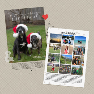 2022 Christmas card