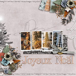 FF_dec9_JP_AD_SwL_Joyeux Noel