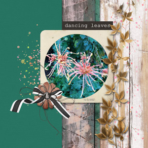 Random_dancingleaves