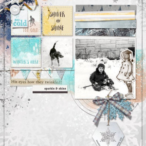 Lynn-Grieveson_2022-12_December_SOSN_1207_Iced_web