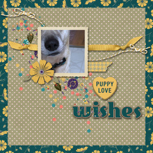 Kimjensen_puppylovewishes