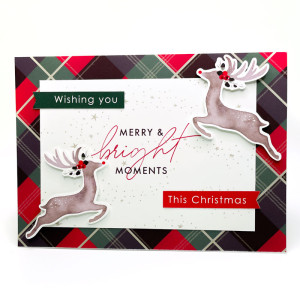 Hybrid Christmas Card