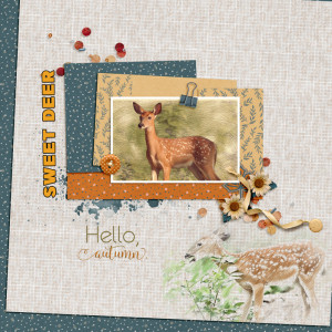 Deer