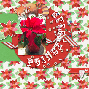 SwL_poinsettias