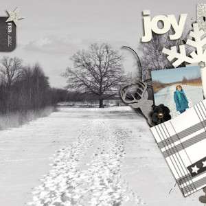 Winter Joy