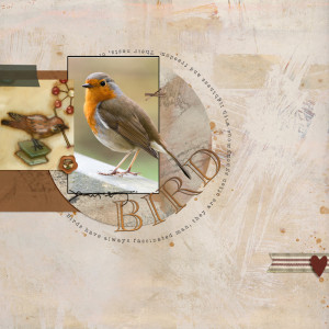 Bird