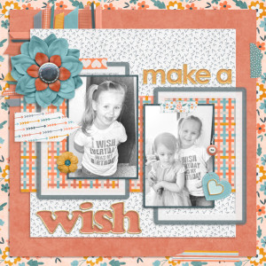 Make a Wish