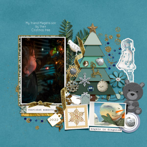 2212_megans_son