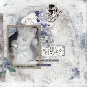 Dreamscapes
