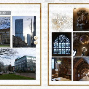 Manchester Uni (2 pager)