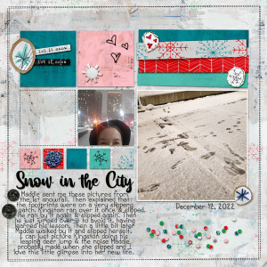 Snow-in-the-City