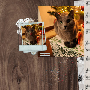 221204_cat Tongue