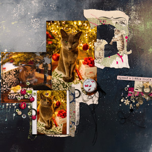 221204_cat Xmas
