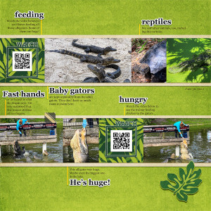 Gatorama_right