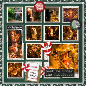 221203_tree