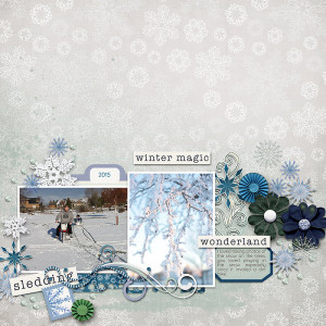 Sledding-wonderland
