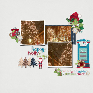 Happy Holly Days