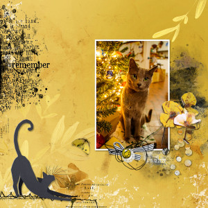 221215_cat